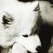 Comportement / �ducation de votre chien