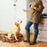 EDUCATION CANINE COMPORTEMENTALISTE